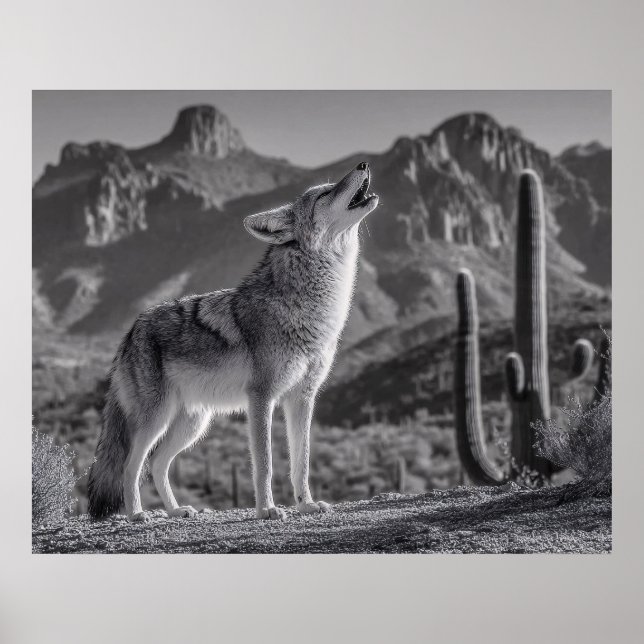 Howling Coyote in Desert Landscape Poster (Front)