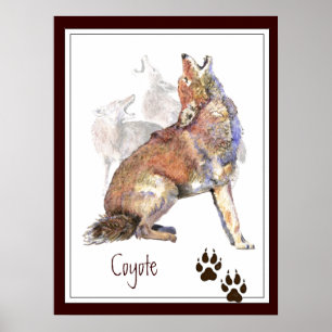 Howling Coyote Original Aquarelle Poster animal