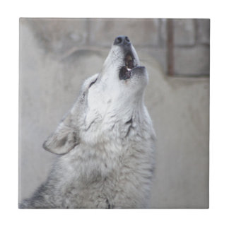 Howling Grey Wolf Tile