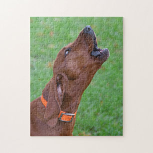 Howling Redbone Coonhound Hunting Dog Jigsaw Puzzle