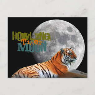 Howling Tiger Moon Postcard