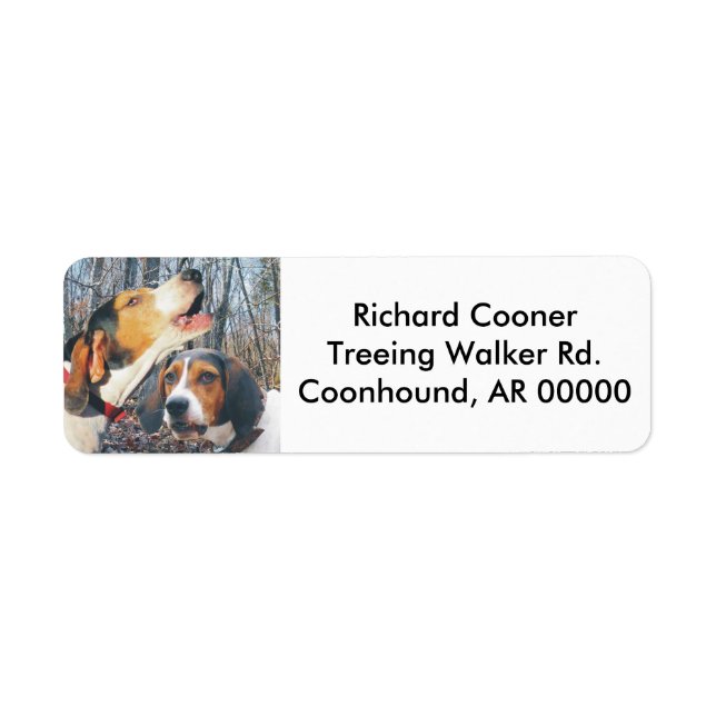 Howling Treeing Walker Coonhound (Devant)