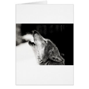 Howling Wolf