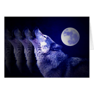 Howling Wolf