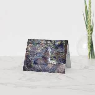 Howling Wolf Card