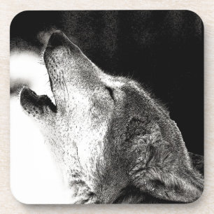 Howling Wolf Coaster