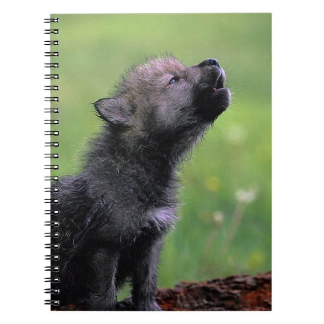 Howling Wolf Cub Notebook (Front)