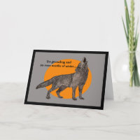 Howling wolf on Ground Hog Day