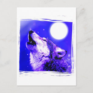 Howling Wolf Postcard