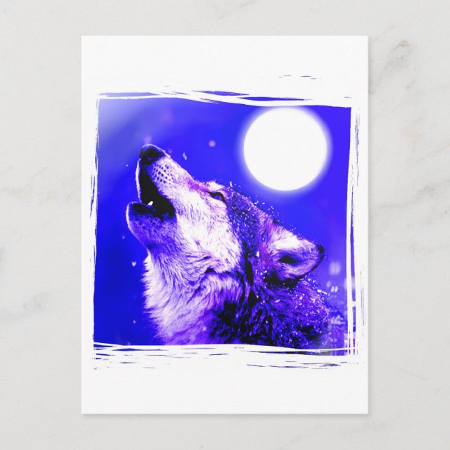 Howling Wolf Postcard (Front)