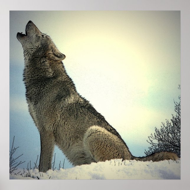 Howling Wolf Poster Print (Front)