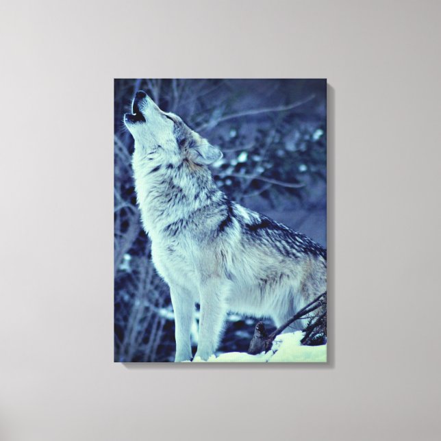 Howling Wolf Winter Forest Canvas Print (Front)