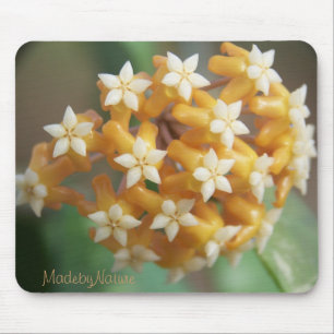 Hoya aff vitellina Mousepad