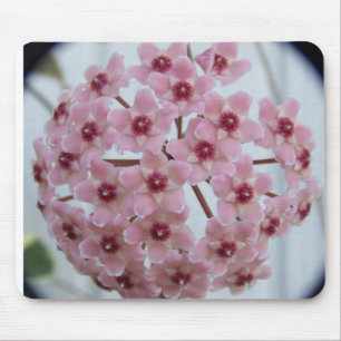 Hoya carnosa Tricolor Mousepad