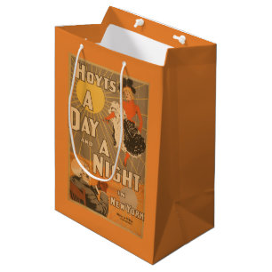 Hoyt's A day and a night in New York City Play Medium Gift Bag