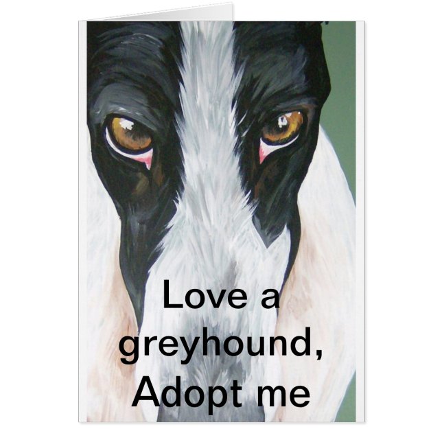 HPIM0059, Love a greyhound, Adopt me (Front)
