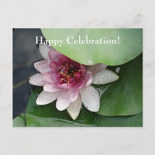 Hppy Celebration Custom Occasions Floral Postcard (Front)