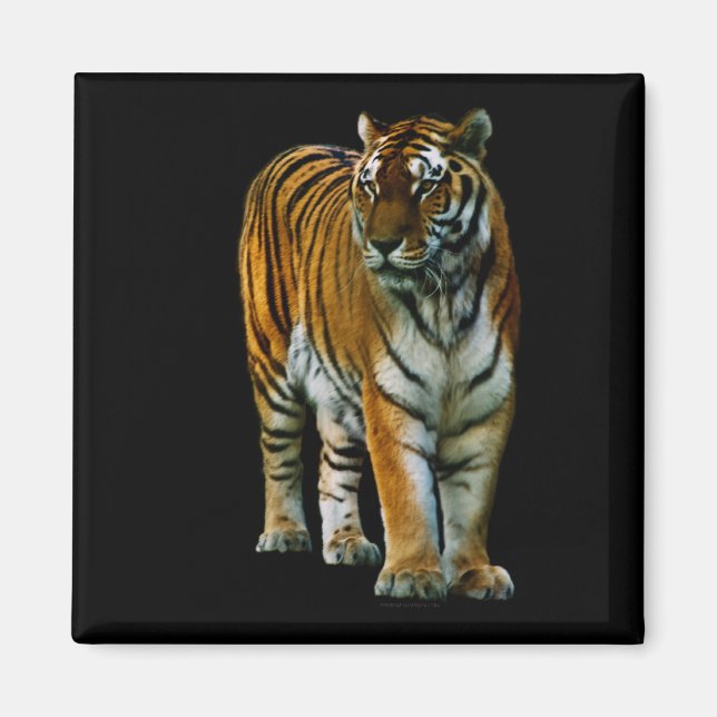 Hu Lin Magnet (Devant)