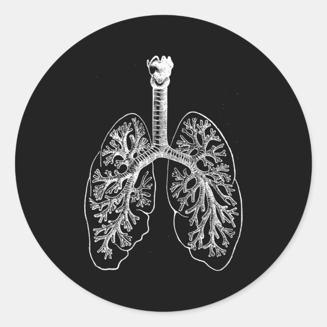 Hu Lungs Anatomy Pulmonologist Respiratory Lungs Classic Round Sticker (Front)