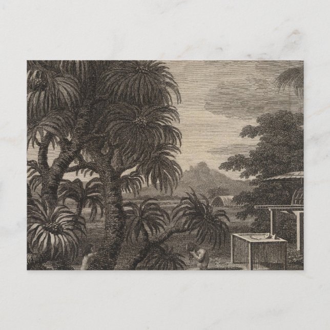 Huaheine View, Polynesia Postcard (Front)