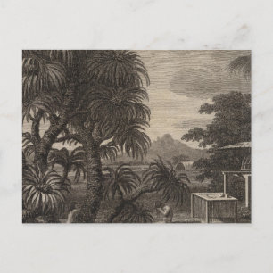 Huaheine View, Polynesia Postcard