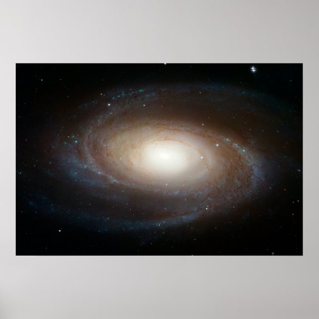 Hubble Photographs Grand Design Spiral Galaxy M81 Poster (Front)