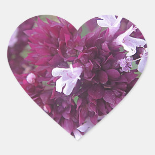 Hübsche lila Blumenkugel Heart Sticker