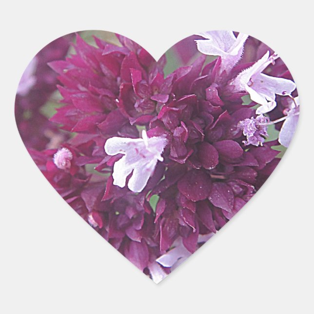 Hübsche lila Blumenkugel Heart Sticker (Front)