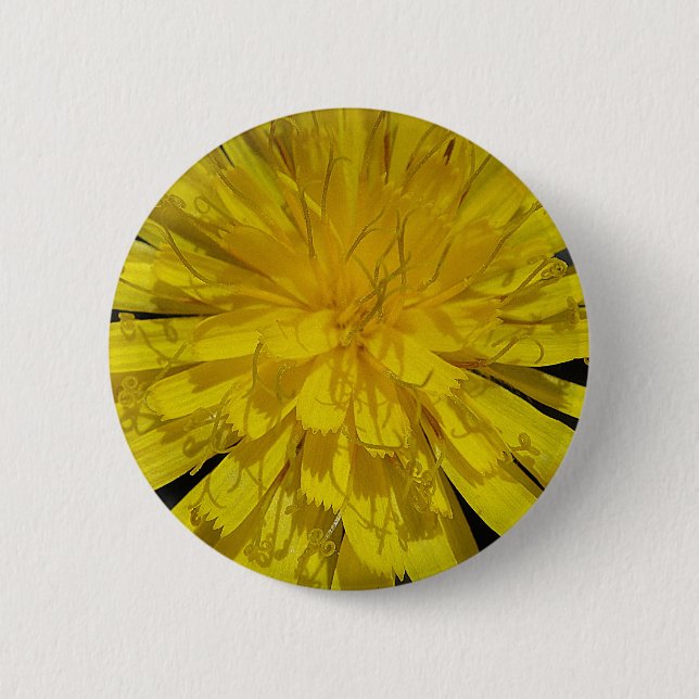 Hübsche Löwenzahnblüte 2 Inch Round Button (Front)