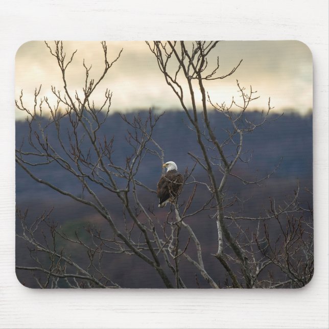 Hudson Valley Eagle Mouse Pad (Front)