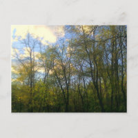 Hudson Vally, NY