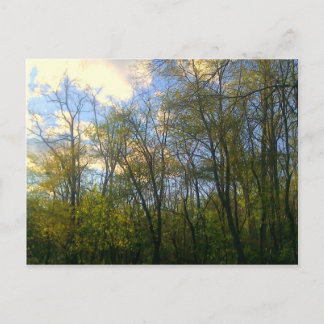 Hudson Vally, NY Postcard