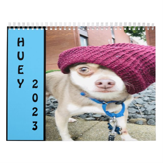 Huey 2023 Wall  Calendar (Cover)