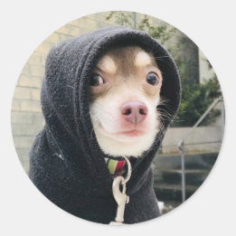 Huey en Stickers déguisé ! !