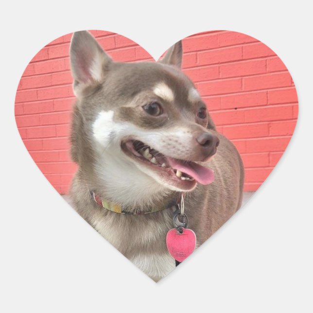 Huey Has my Heart Stickers! Heart Sticker (Front)