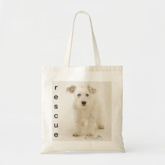 Huez, abritez le chien sur le sac à provisions de