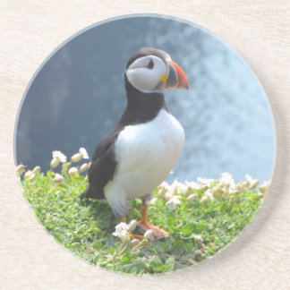 Huffin' Puffin Coaster