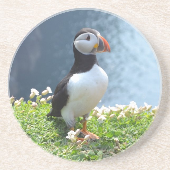 Huffin' Puffin Coaster (Front)