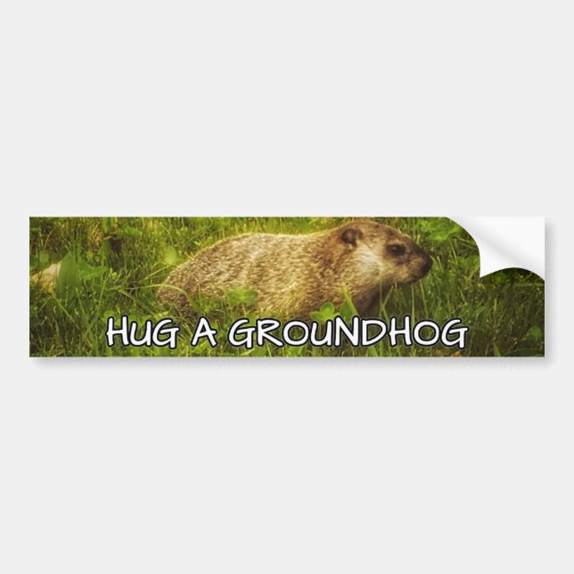 Hug a groundhog bumper sticker (Front)