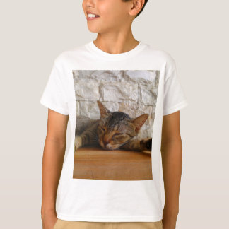 Hug Cat T-Shirt