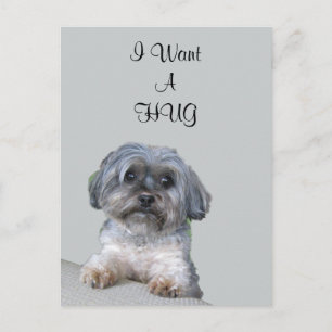 Hug Dog Postcard