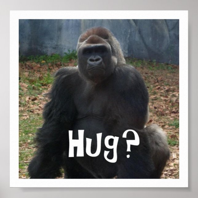 Hug? Gorilla Poster (Front)