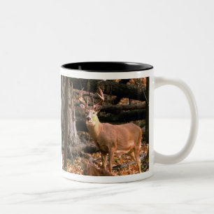 HUGE BUCK!  MUG