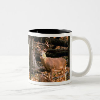 HUGE BUCK! MUG