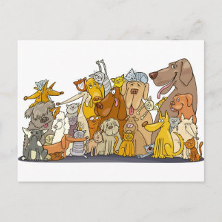 huge group of cats and dogs postcard