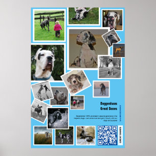 Huge Kennel Promotion  Poster