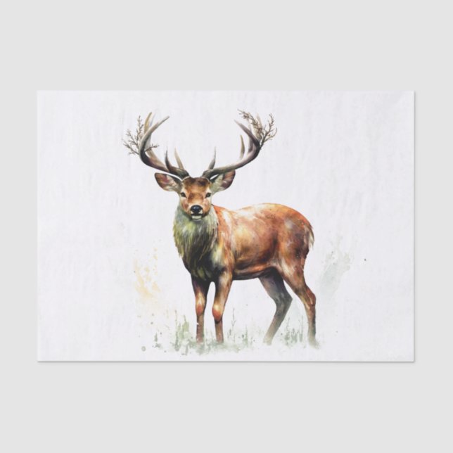 Huge Racked Deer  Tissue Paper (Front)