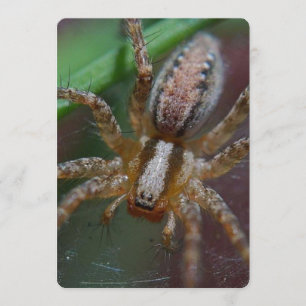 Huge Spider Invitation