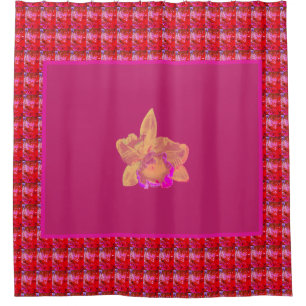 Huge Yellow and Magenta Orchid on Red