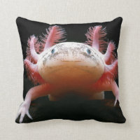 Huggable Axolotl BEAUTIFUL Pillow!!